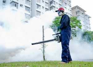 Pest-control-services-in-Pune